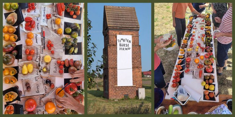 Tomatenbörse Reitwein